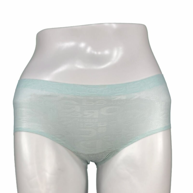 Aquamarine Whispers Free Size Panty